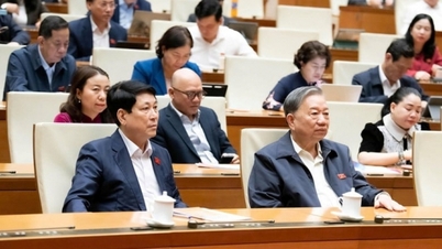 Program Target Nasional Modal 2026-2035: Perlu mempertimbangkan rasio pendamping untuk daerah miskin