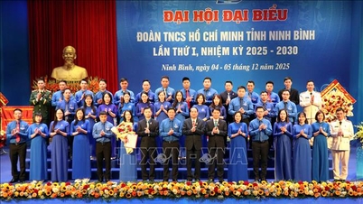 若者は5つの先駆的分野で主導的な力にならなければなりません。