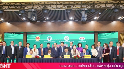 Het opbouwen en ontwikkelen van circulaire landbouw en ketenproductie in Ha Tinh