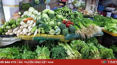 हरी सब्जियों की कीमतें कम हुईं