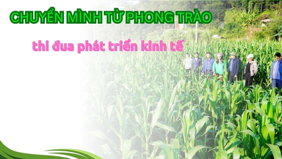 Transformasi daripada gerakan emulasi pembangunan ekonomi