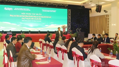 Seminar on improving the effectiveness of grassroots agricultural extension activities in the new situation