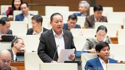 قومی ٹارگٹ پروگراموں کو مؤثر طریقے سے لاگو کرنے کے لیے وسائل کا استعمال