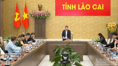 Lao Cai har 16 valkretsar för folkrådsval på alla nivåer.