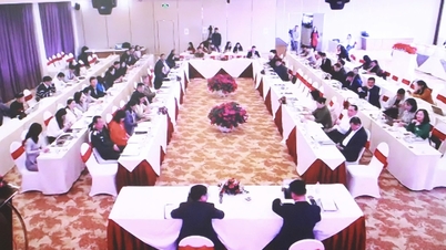 Resumo da Decisão nº 1299/QD-TTg, de 3 de outubro de 2018, e revisão preliminar de 3 anos de implementação da Diretiva nº 08/CT-TTg, de 1 de junho de 2022; Decisão nº 1895/QD-TTg, de 11 de novembro de 2021, do Primeiro-Ministro.