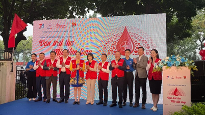 A EVNNPC responde à 11ª Semana Rosa da EVN