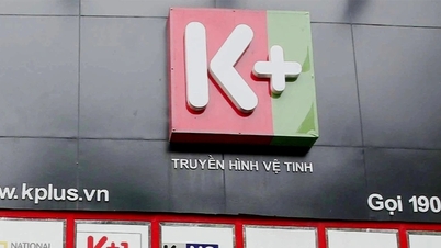 K+ הפסידה אלפי מיליארדי דונג לפני שהפסיקה את פעילותה בווייטנאם