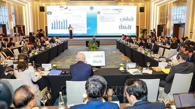 Posicionamiento de Vietnam en la visión estratégica económica y financiera para el período 2026-2030