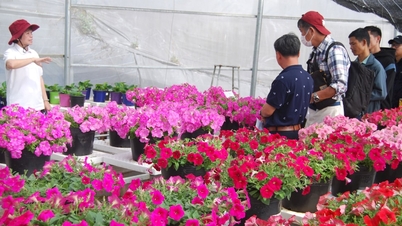 저작권이 있는 꽃 생산에는 보다 효과적인 솔루션이 필요합니다.