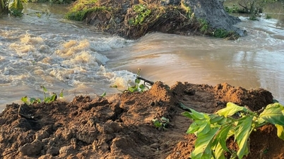 Прорыв дамбы на острове Тхань Лонг вызвал масштабное наводнение