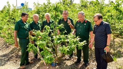 Продовжуючи традиції солдатів дядька Хо, ветерани провінції змагаються у бездоганному виконанні своїх завдань.
