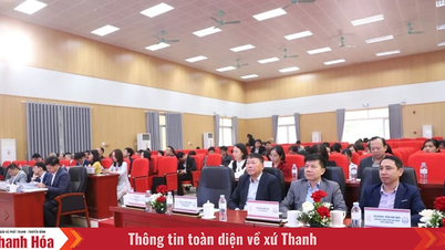 탄호아에 자격증을 갖춘 6개 전문 교육 수업 I, II, 집중 시스템 개설