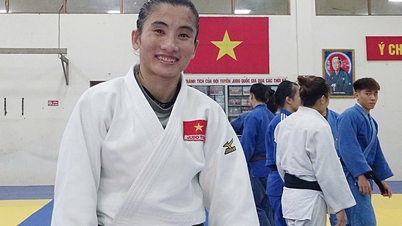 غياب اللاعبين الفيتناميين عن دورة ألعاب جنوب شرق آسيا 33 أمر مؤسف