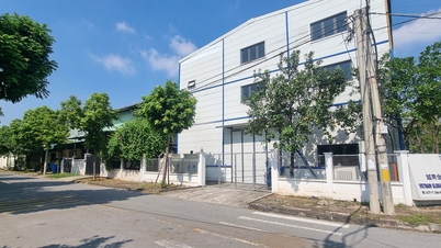 Promoción de las finanzas verdes