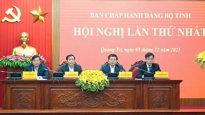 Quang Tri : Évaluation objective et exhaustive des réalisations ainsi que des éventuelles lacunes.