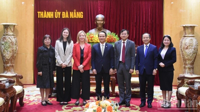 Le Comité permanent du Parti de la ville de Da Nang a reçu le consul général des États-Unis à Hô Chi Minh-Ville.