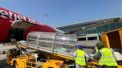 बाढ़ पीड़ितों की सहायता के लिए हाई फोंग से सैकड़ों टन राहत सामग्री भेजी गई