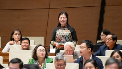 Bru-Van Kieu خاتون مندوب نسلی اقلیتوں کے لیے پالیسیوں کی سفارش کرتی ہیں۔