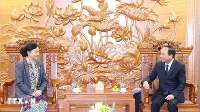 ভিয়েতনাম এবং লাওস সম্মুখ কাজ, গণসংহতি এবং ধর্মের ক্ষেত্রে সহযোগিতা আরও গভীর করে