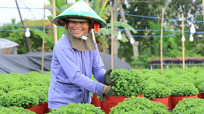 ຢືນຢັນ Sa Dec ເປັນແຫຼ່ງທ່ອງທ່ຽວແບບຍືນຍົງ ຕິດພັນກັບກະສິກຳສີຂຽວ