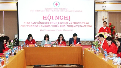 태국 응우옌 적십자사가 에뮬레이션 깃발을 수상하기로 제안되었습니다.