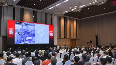 Vietnam ilk kez dünyanın önde gelen nörointervansiyonel forumuna ev sahipliği yaptı.