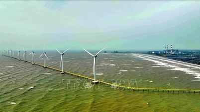 COP26 taahhütlerini uygulamak için politikaların ayarlanması