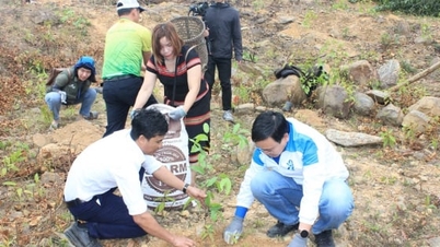 Lebih dari 1,4 miliar pohon telah ditanam dalam Proyek Satu Miliar Pohon.