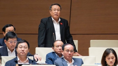 Desentralisasi di tingkat akar rumput dalam pelaksanaan Program Target Nasional 2026-2035