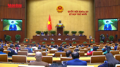 [Video] Zusammenführung von 3 nationalen Zielprogrammen muss „große Engpässe“ beseitigen