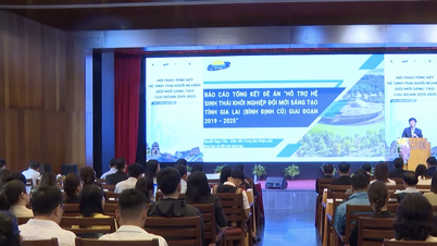 ยืนยันตำแหน่งใหม่ของเจียไหลบนแผนที่นวัตกรรมแห่งชาติ