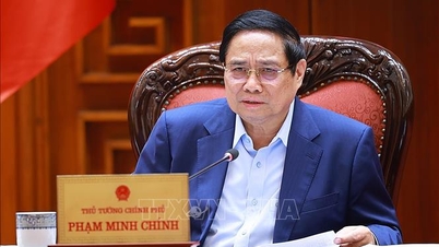 Pilotaje de la construcción de zonas de libre comercio y la construcción del Centro Energético Dung Quat