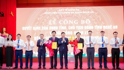 Nghe An جنرل فرینڈ شپ ہسپتال کے بورڈ آف ڈائریکٹرز کے چیئرمین کی تقرری