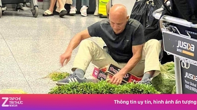 A verdade sobre o 'ocidental' colhendo espinafre d'água no meio do aeroporto de Noi Bai.