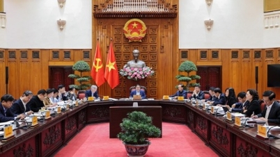 Existem políticas específicas para as Zonas de Livre Comércio, mas elas não afetam o ambiente geral de investimento.