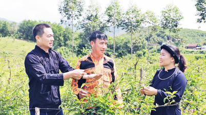 Bac Ninh: Δημιουργία βιώσιμων μέσων διαβίωσης μέσω επαγγελματικής κατάρτισης για μέλη συνεταιρισμών σε περιοχές εθνοτικών μειονοτήτων