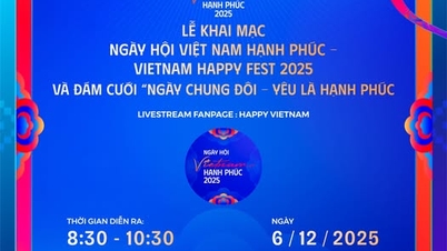 Cerimônia de abertura do “Vietnam Happy Fest 2025” e casamento “Dia do Casal - O Amor é Felicidade”