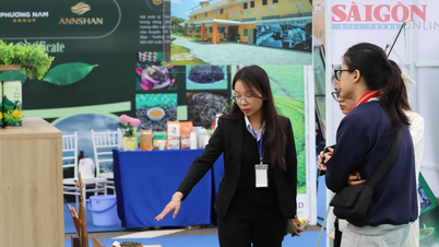 Lâm Đồng: Mở cửa không gian triển lãm trà tại Lễ hội Trà quốc tế