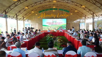 डोंग थाप: 2025 में दूसरे सा डेक पुष्प एवं सजावटी महोत्सव की प्रेस कॉन्फ्रेंस