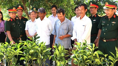 ۲۵۰ نماینده در دوره آموزشی تبلیغات و آموزش قوانین مرزهای زمینی شرکت کردند.