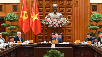 Kiváló, versenyképes politikák kidolgozása számos szabadkereskedelmi övezet kipróbálására