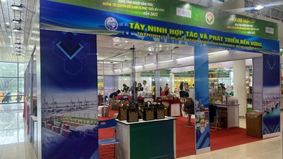 ໄຕນິງມີ 9 ຮ້ານເຂົ້າຮ່ວມງານວາງສະແດງສິນຄ້າອຸດສາຫະກຳຊົນນະບົດຢູ່ນະຄອນ ດ່າໜັງ.