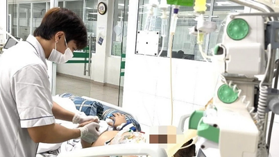 Záchrana života pacienta s chřipkou A, selháním ledvin a těžkým poškozením plic v důsledku houbové infekce Aspergillus.