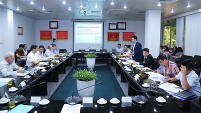 إدارة خدمات السلك الدبلوماسي: التأكيد على دور وحدة الخدمة العامة الرائدة بوزارة الخارجية