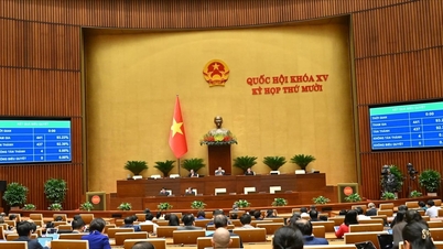 Национальное собрание приняло Закон о внесении изменений и дополнений в ряд статей Закона о судебной документации.