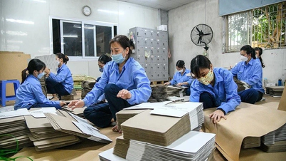 Empresas e famílias empresariais de Hanói mantêm o ritmo de crescimento nos primeiros 10 meses de 2025.