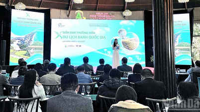 "תיירות ירוקה" הופכת לבלתי נמנעת לפעולה ולפיתוח נרחב