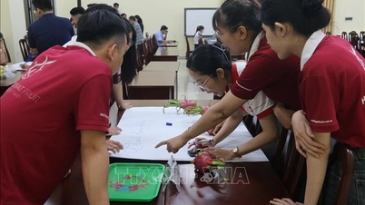 การยกระดับมาตรฐานโรงบรรจุผลไม้เพื่อการส่งออก