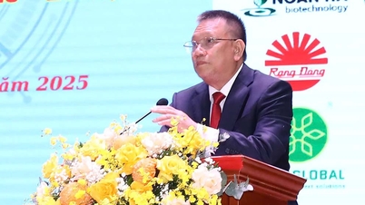 VST会長：政策の制度化は科学技術企業に新たな「推進力」をもたらす