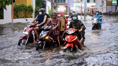 Die Hochwasserstände an der Südostküste nehmen tendenziell weiter zu.